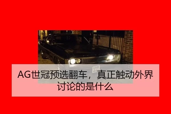 shi-guan-yu-xuan-fan-che-zhen-zheng-chu-dong-wai-jie-tao-lun-de-shi-shen-me-2-596.jpg